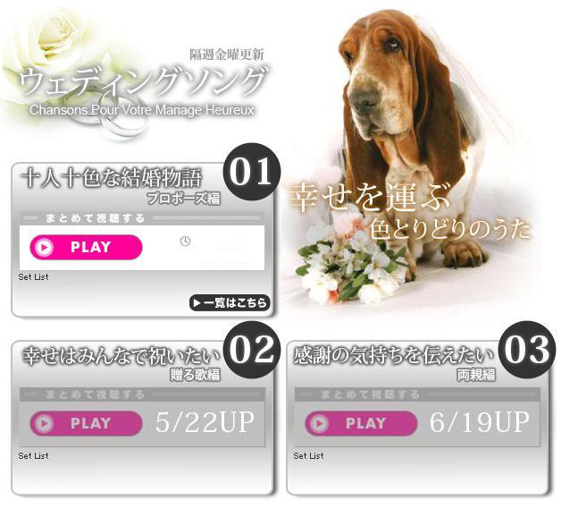 湘南乃風 純恋歌 など愛の歌が大集結 特集 ウェディングソング Rbb Today