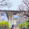 ナスケ女子・すみぽん、春の桜の下で黒猫耳カチューシャ＆ビキニ姿を披露！