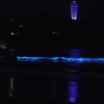 片瀬海岸西浜の夜光虫動画が話題！新江ノ島水族館公式がSNSに投稿