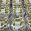 【コストコ新商品】2026年8月下旬に売り場で発見！「炙りラフテー油そば」「シャインマスカット大福」など注目12選