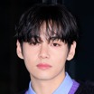 「守って！」の悲鳴…BTS・Vへの“脅迫的”な投稿、海外メディアも報道　対策求めるファン署名は1万3000人超に