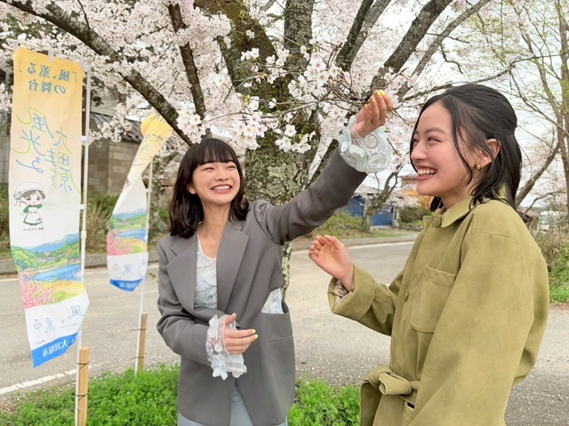 大雄寺とその周辺（C）NHK