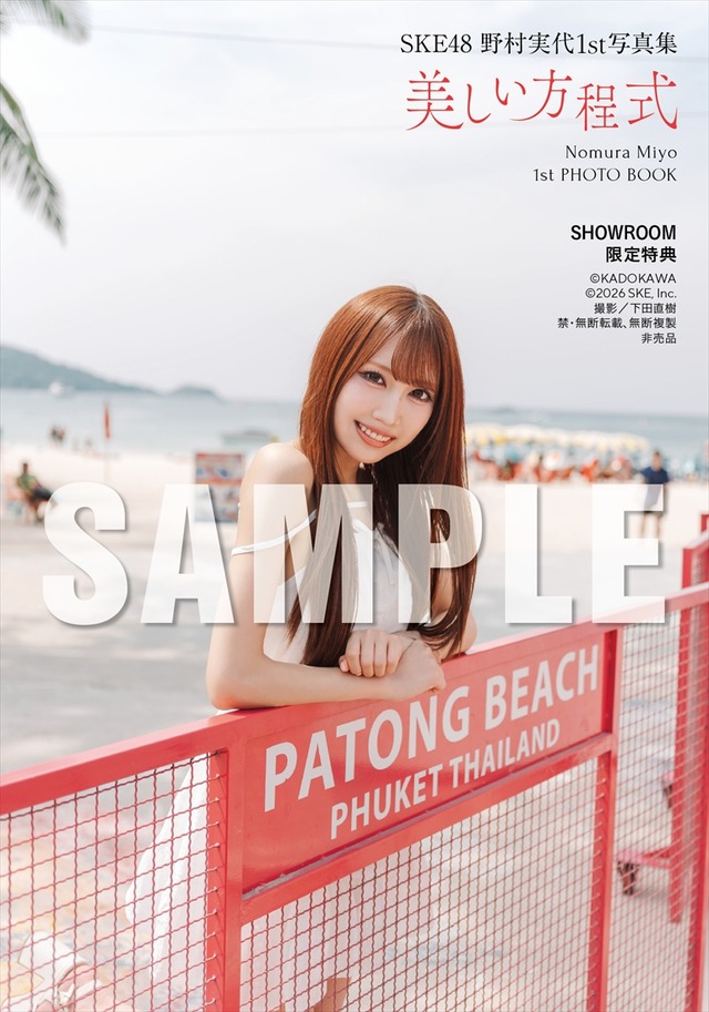 野村実代 1st写真集『美しい方程式』特典