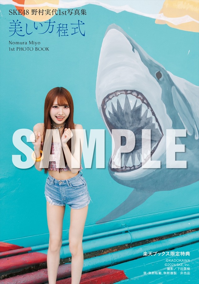野村実代 1st写真集『美しい方程式』特典