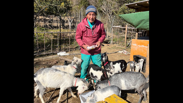 （ｃ）ABCテレビ