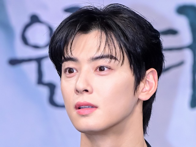 芸能人として異例の追徴金“22億円”…チャウヌ、実際の納付額は約14.5億円だった「二重課税の還付」