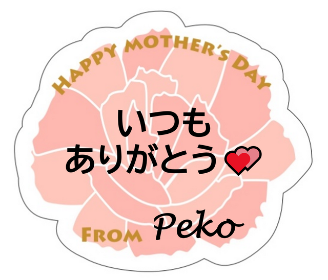 「メッセージペーパープレート」