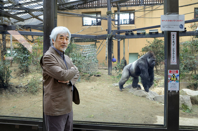 京都市動物園のゴリラ舎　撮影／小林禎弘