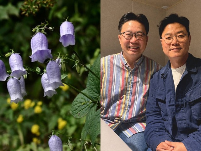 韓国の植物なのに学名に「竹島」　“日本名”を消したくても消せない国際ルールのなか、韓国が選んだ方法とは