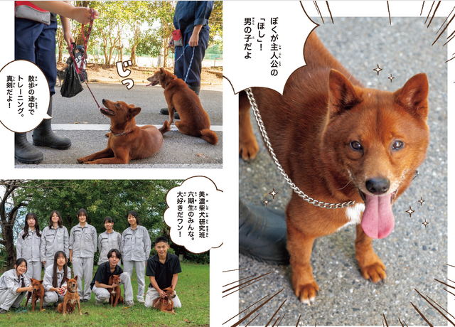 巻頭９ｐぶんには、犬と高校生たちのグラビアページ掲載。子犬の写真多数