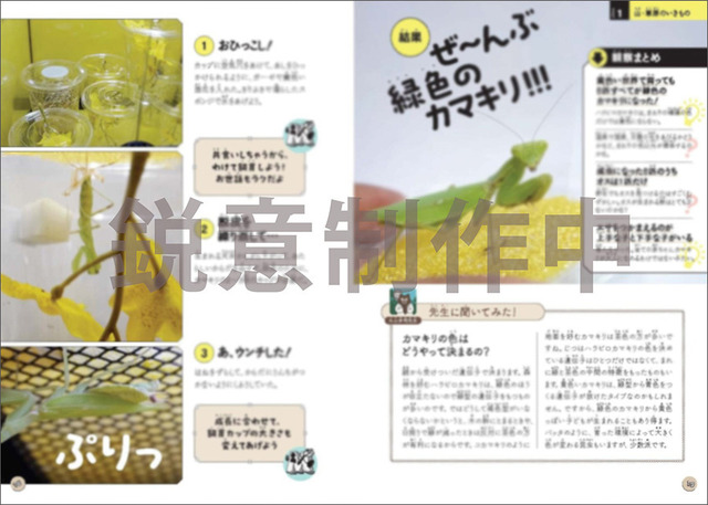 『図鑑いきもの飼ってみた カマキリを黄色い世界で育てたらどうなる？』（KADOKAWA）