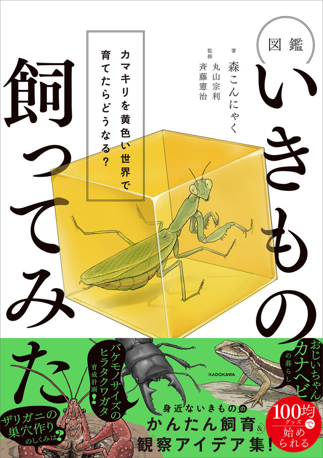 『図鑑いきもの飼ってみた カマキリを黄色い世界で育てたらどうなる？』（KADOKAWA）