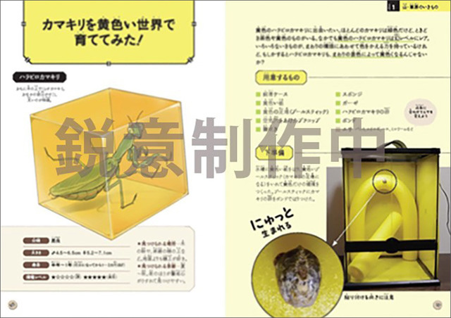 『図鑑いきもの飼ってみた カマキリを黄色い世界で育てたらどうなる？』（KADOKAWA）