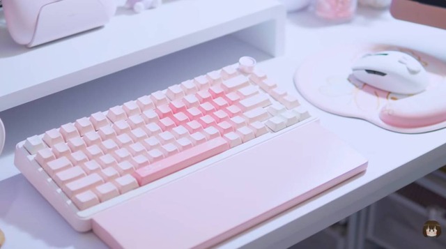 RazerのマウスとYUNZIIのキーボード（C）RafiRaffee
