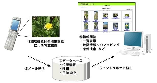 生物多様性調査の概要