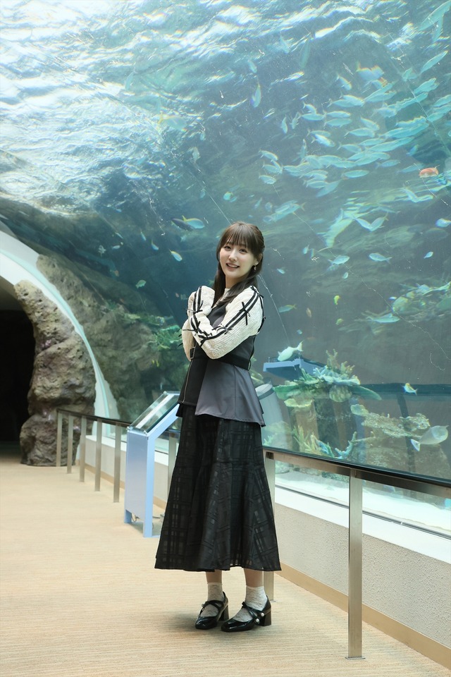 鎌田菜月『水族館の達人に聞いてみた』