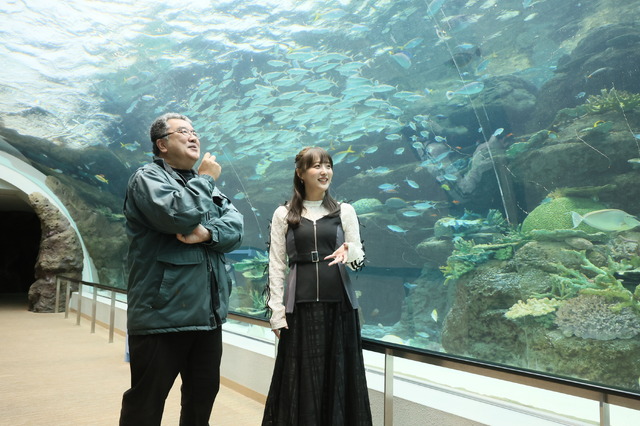 鎌田菜月『水族館の達人に聞いてみた』