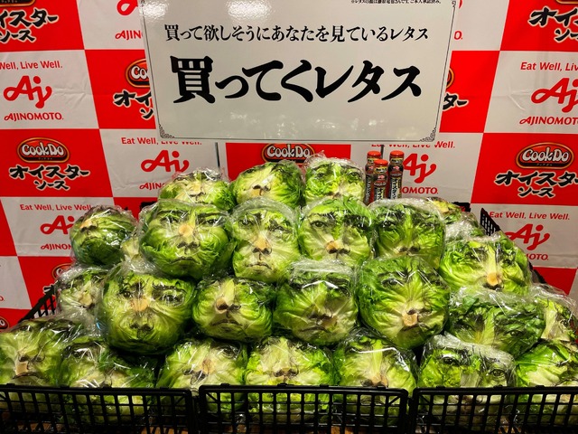「Cook Do」オイスターソース 藤原竜也の「買ってくレタス」