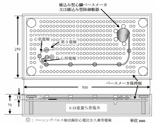 試験で用いた人体ファントムの構成