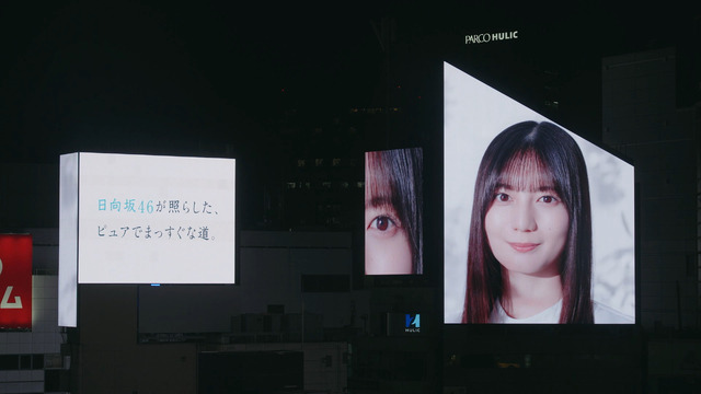 乃木坂46LLC / Seed&FlowerLLC