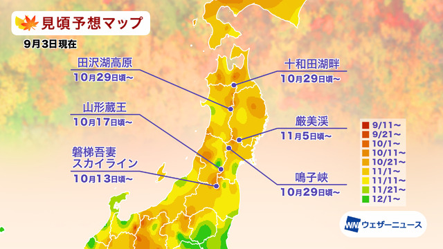 「第一回紅葉見頃予想2026」