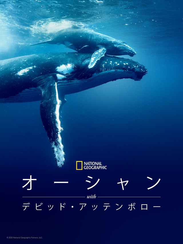 (c) 2026 National Geographic Partners, LLC.