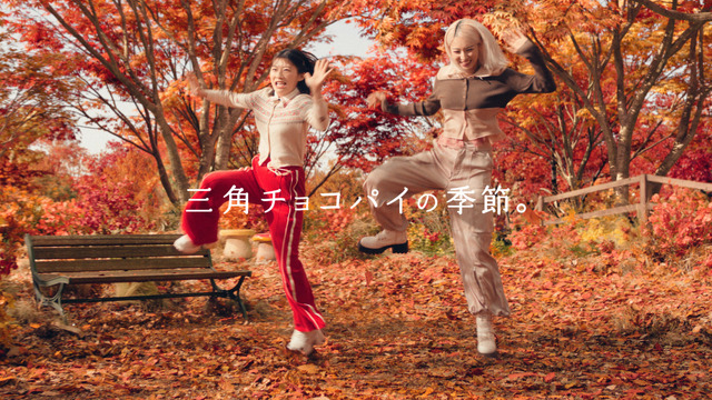 CMカット