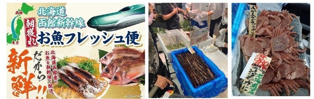 函館から新幹線で輸送する朝獲れ鮮魚
