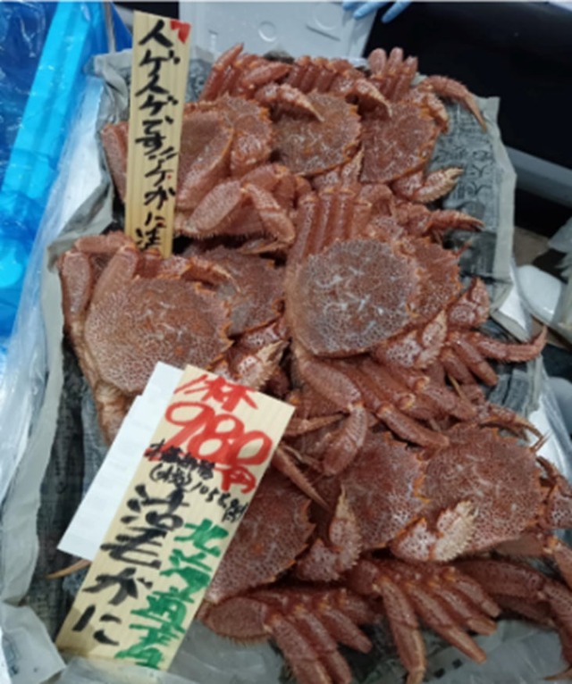 店舗の水産売場に鮮魚が並ぶ様子