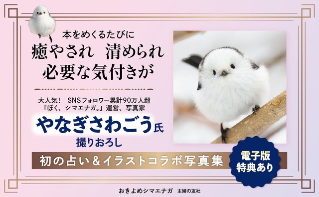シマエナガの写真と占い、イラストを組み合わせた書籍