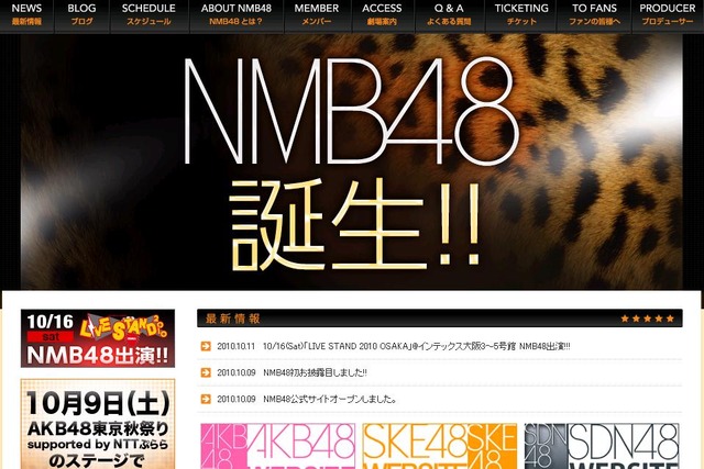 ロゴが豹柄のNMB48公式サイト