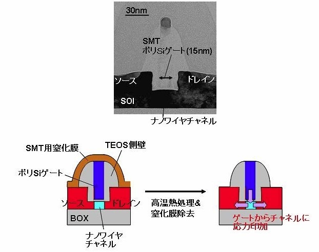 今回作製されたトランジスタ／SMTについて