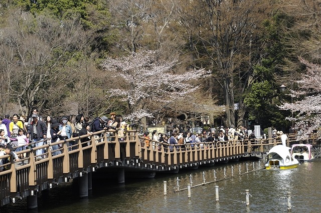 吉祥寺 井の頭公園