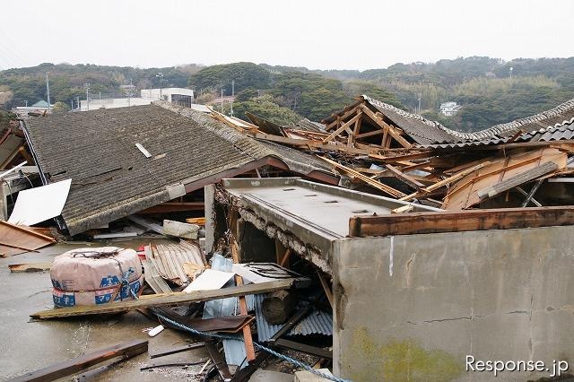 東日本大震災 田代島 電柱の一番上で津波に耐えた 東日本大震災 田代島 電柱の一番上で津波に耐えた