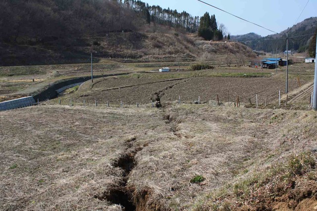  いわき市遠野町綱木、谷底面の水田を切る地表地震断層（東京大学地震研究所）