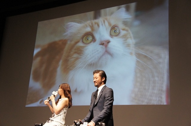 北川さんは、自身が撮影した猫の写真を披露