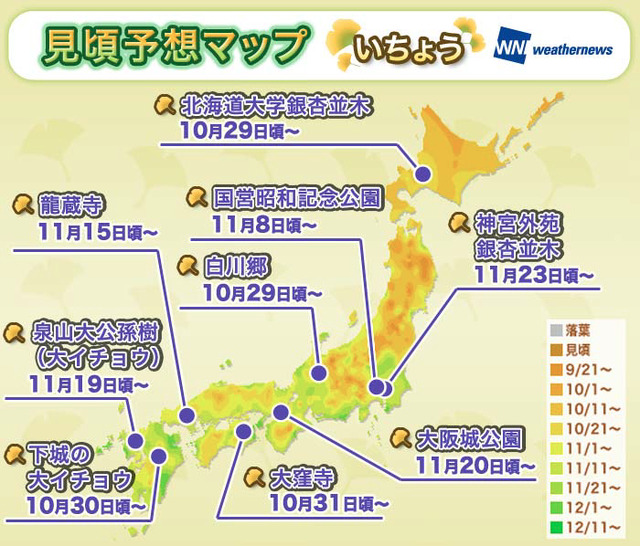 全国の紅葉見頃予想マップ いちょう