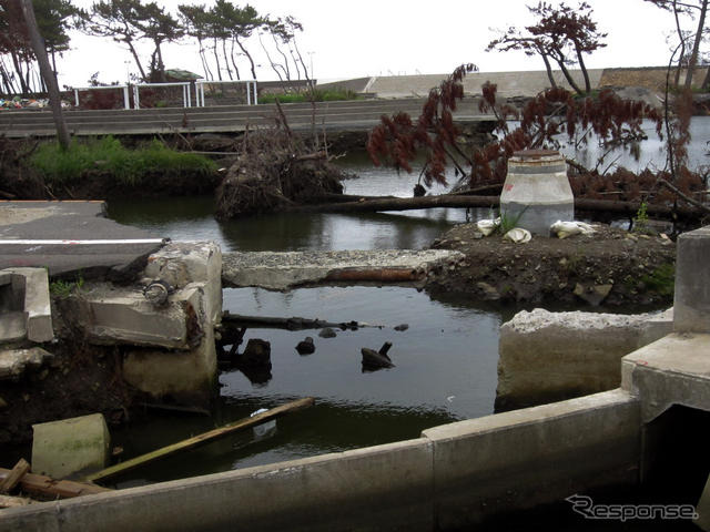 県道58号線。七ヶ浜町菖蒲田浜付近（7月下旬）