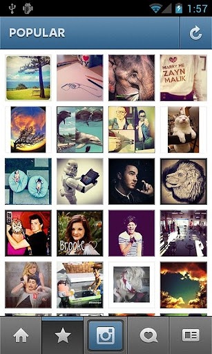 Android版「Instagram」（人気の写真一覧）