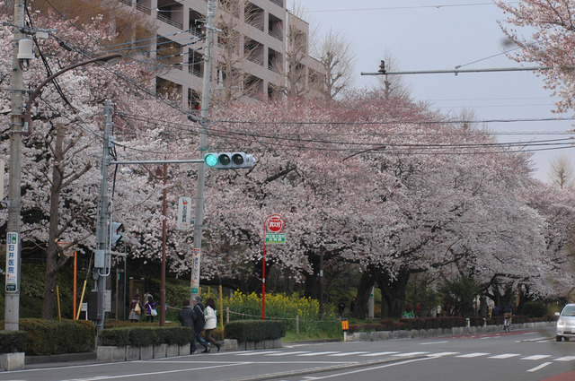 国立市