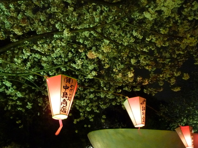 隅田公園の夜桜