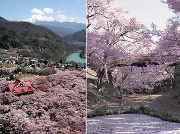 2位に桜で有名な長野県伊那市の「高遠城址公園」