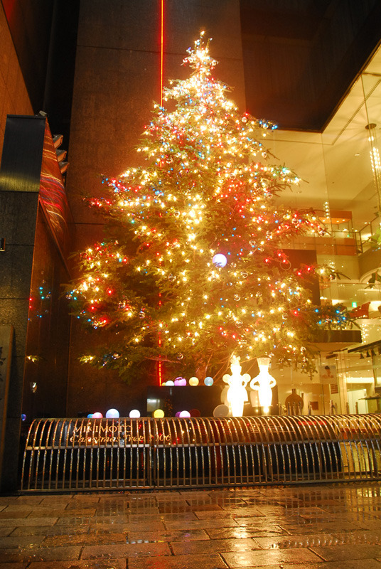 今週はクリスマス企画で行こう、となりました。当方も若い女子。でも、クリスマスの朝の、燃えたぎるような熱情が消え失せた身としては、やや盛り上がりを欠けてます。こんなではいけない！クリスマス一色の街に飛び出して感化されてこよう！