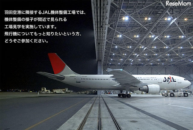 JAL工場見学、機体整備を間近で見る