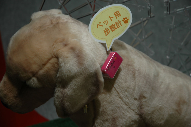 富士通の愛犬用の歩数計「わんダント」。犬用に開発された。