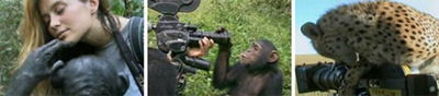 　NECビッグローブは7日、同社が運営する動画ポータルサイト「BIGLOBEストリーム」において、ドキュメンタリー作品「野生動物の撮影者たち」の無料配信を開始した。