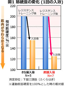 筋硬度の変化（1回の入浴）