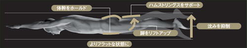 水の抵抗が少ないフラット姿勢維持の追求