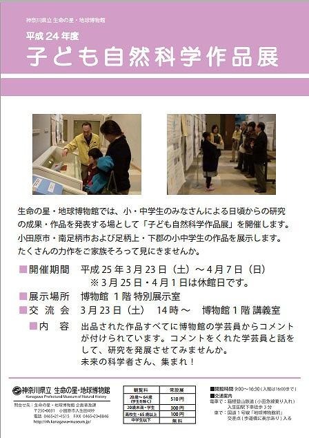 神奈川県立生命の星・地球博物館「子ども自然科学作品展」