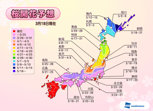 全国各地の桜開花予想